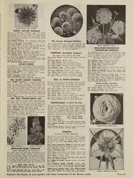 1951 - Park's flower book for 1951 - Biodiversity Heritage Library
