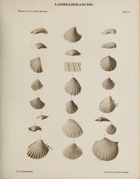57th:v.3 (1903) - Annual report - Biodiversity Heritage Library