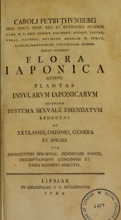 期間限定値下げ！早い者勝ち！　ＦＬＯＲＡＥ　ＪＡＰＯＮＩＣＡＥ　ＦＡＭＩＬＩＡＥ Flora Japonica - Biodiversity Heritage Library