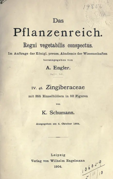 Heft 20 (1904) - Das Pflanzenreich - Biodiversity Heritage Library
