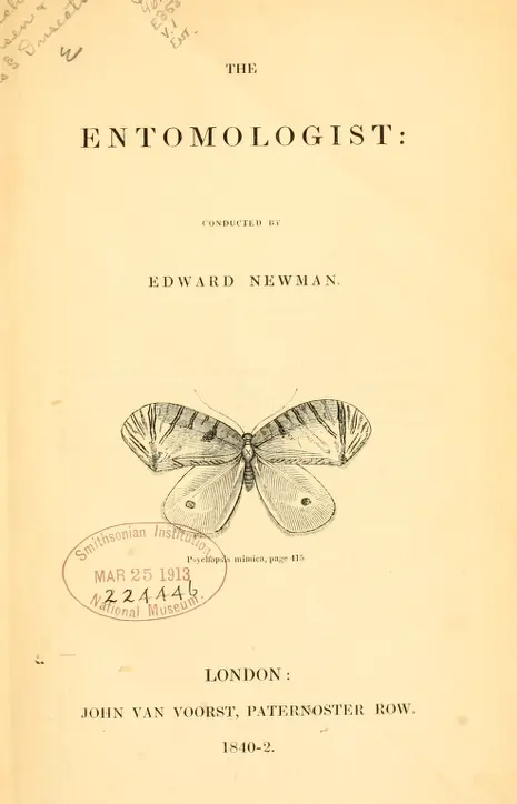 v.1 (1840-1842) - The Entomologist - Biodiversity Heritage Library