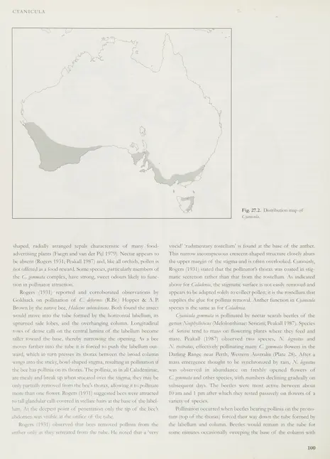Genera orchidacearum - Biodiversity Heritage Library
