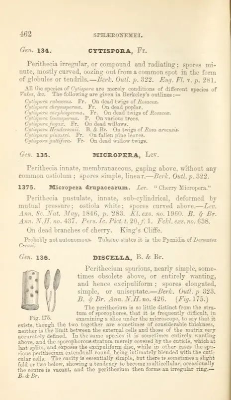 1 - Handbook of British fungi - Biodiversity Heritage Library