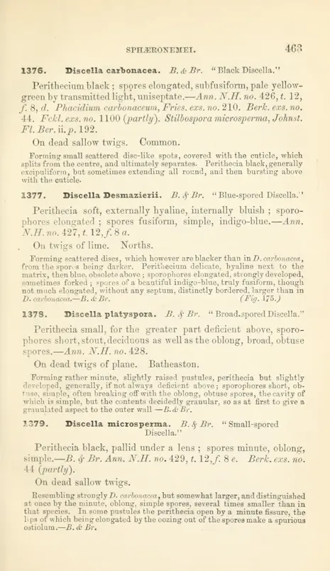 1 - Handbook of British fungi - Biodiversity Heritage Library