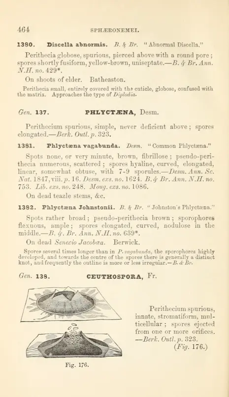 1 - Handbook of British fungi - Biodiversity Heritage Library