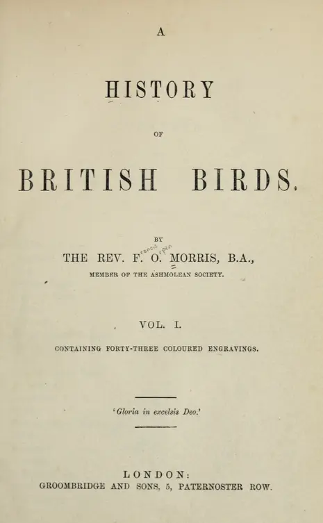 ア*リ様 ★英国鳥類図鑑 モリス A History of British Bi v.1 - A history of British birds - Biodiversity Heritage Library