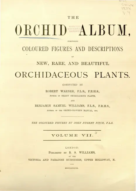 1888 - Orchid album - Biodiversity Heritage Library