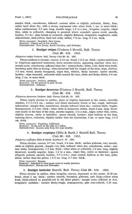 v. 9 (1907-16) - North American flora - Biodiversity Heritage Library