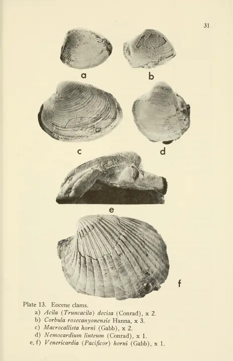 no.15 (1968) - Occasional paper - Biodiversity Heritage Library