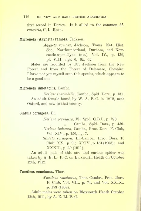 標本 Hyles tatsienluica from Nepal 34 - Proceedings - Biodiversity Heritage Library