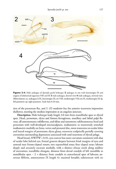 908 - ZooKeys - Biodiversity Heritage Library